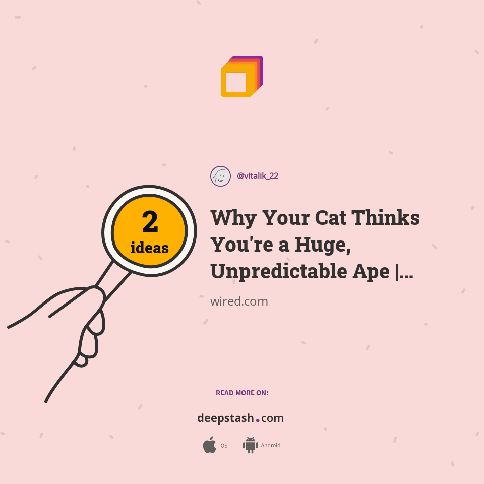 Why Your Cat Thinks You're a Huge, Unpredictable Ape WIRED Deepstash