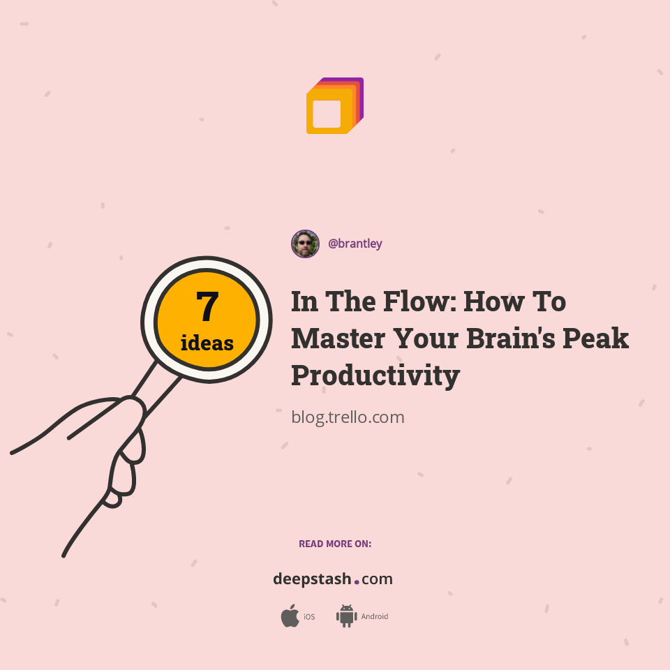 In The Flow: How To Master Your Brain's Peak Productivity