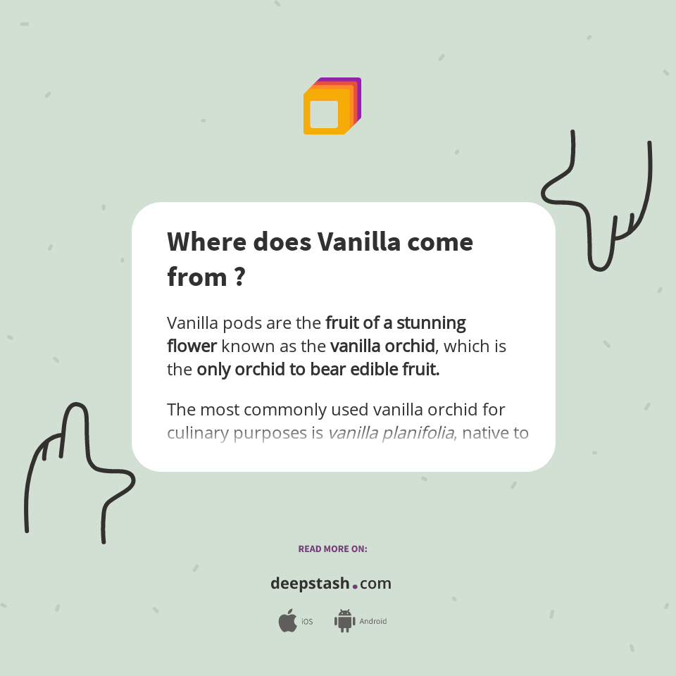 Where does Vanilla come from ? Deepstash