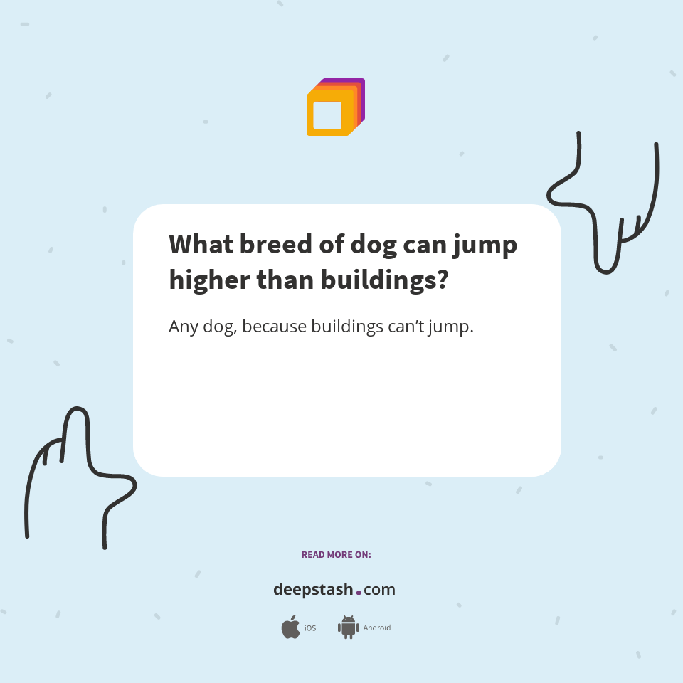 What breed of dog can jump higher than buildings? Deepstash