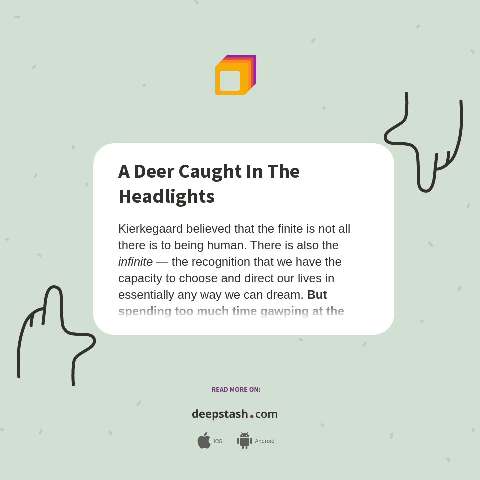 A Deer Caught In The Headlights Deepstash