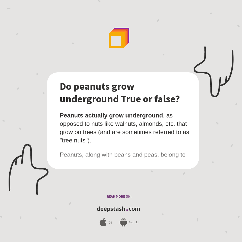Do peanuts grow underground True or false? Deepstash