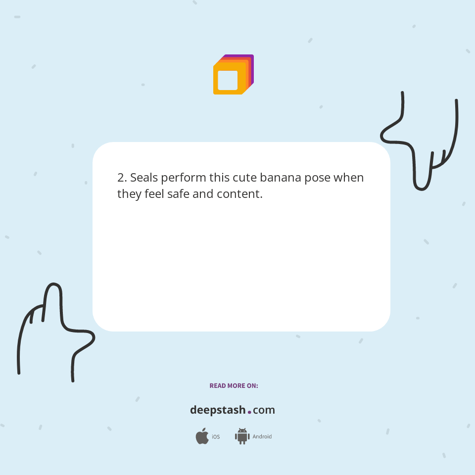 2. Seals perform this cute banana pose when they... Deepstash