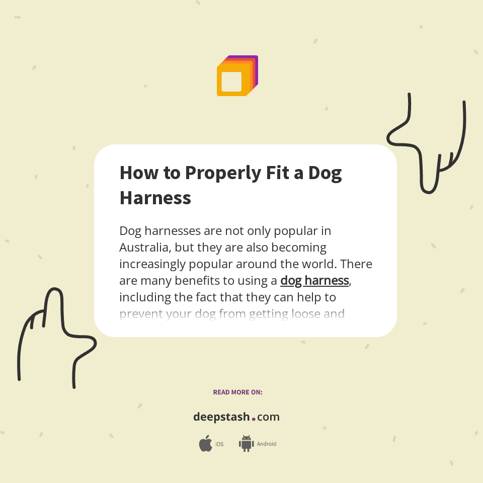 How to Properly Fit a Dog Harness Deepstash