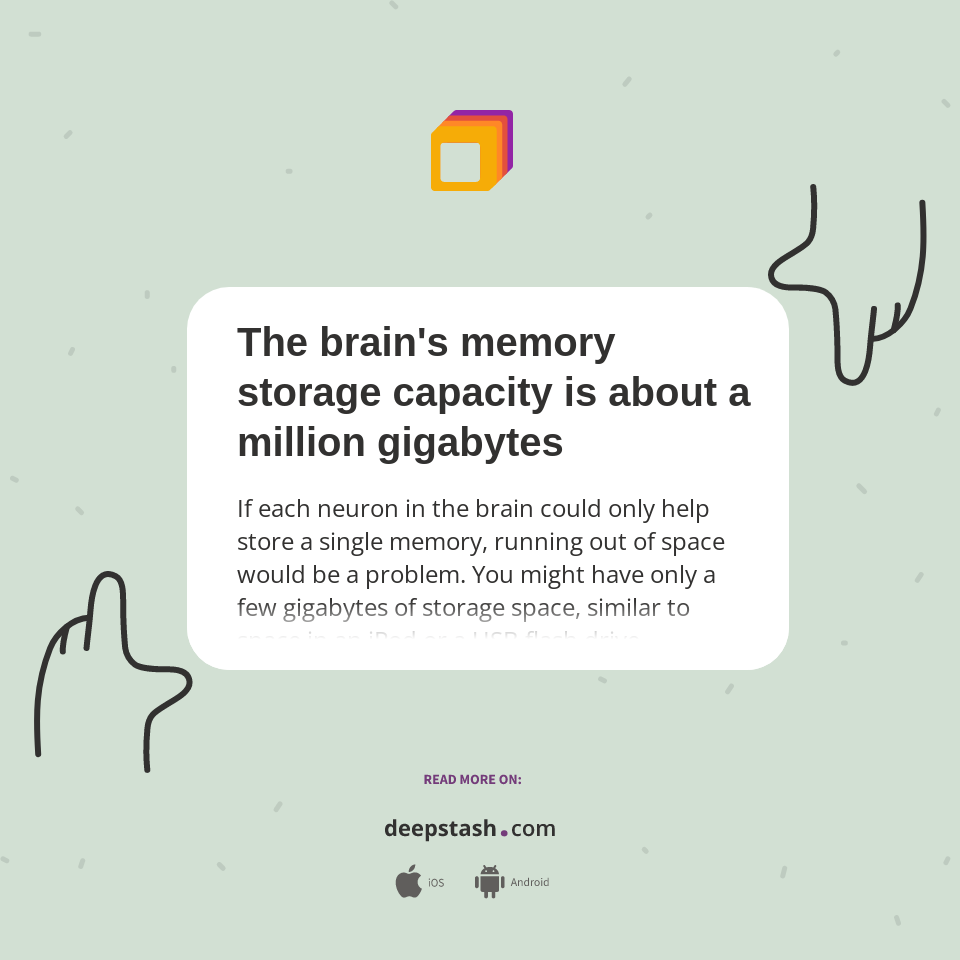The brain's memory storage capacity is about a million gigabytes ...