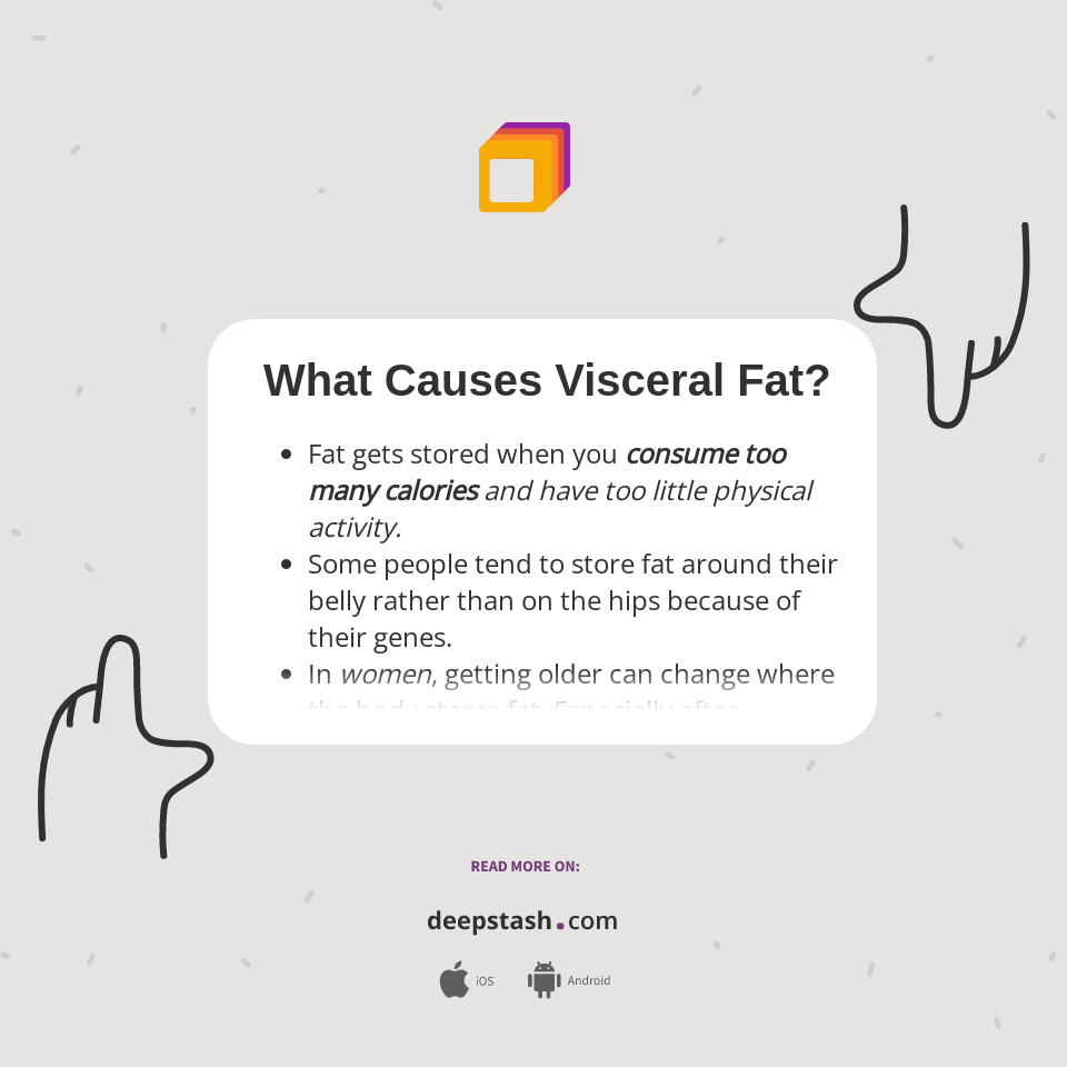 What Causes Visceral Fat? Deepstash