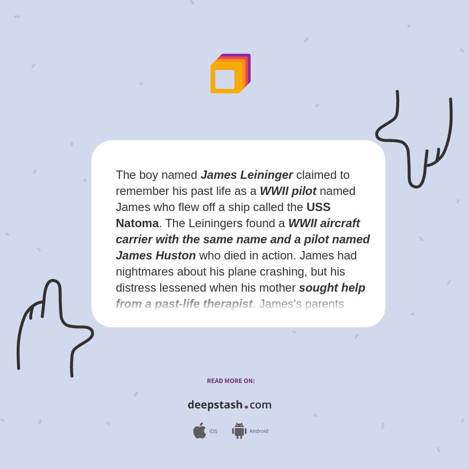 The boy named James Leininger - Deepstash