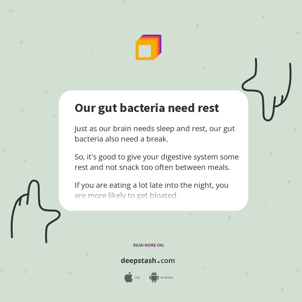 Rest Bacteria Our gut bacteria need rest - Deepstash
