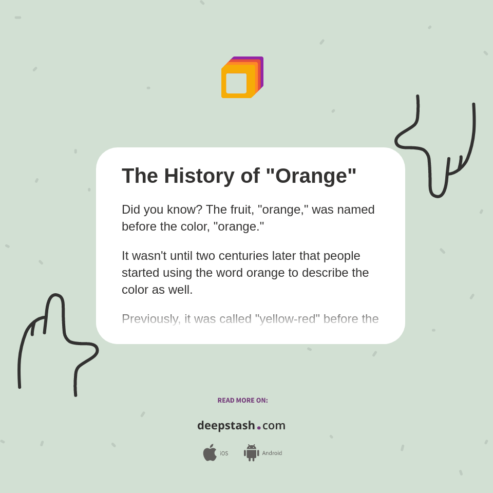 The History of 