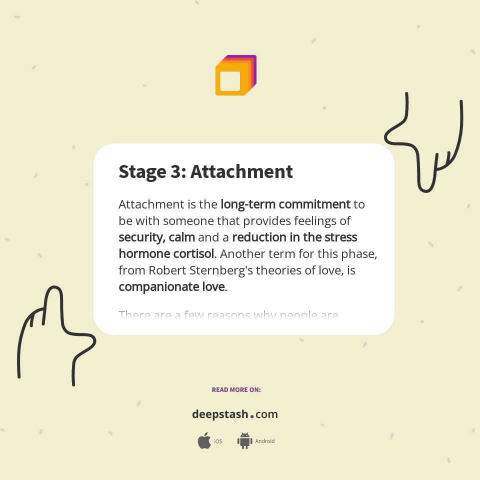Stage 3: Attachment - Deepstash