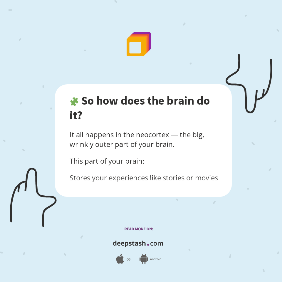 🧩 So how does the brain do it? - Deepstash