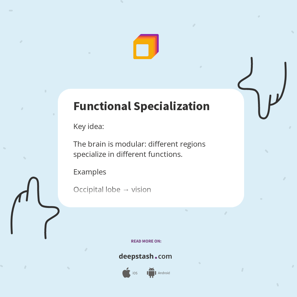 Functional Specialization - Deepstash