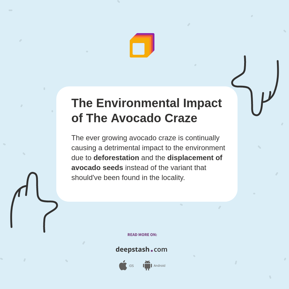 The Environmental Impact of The Avocado Craze Deepstash