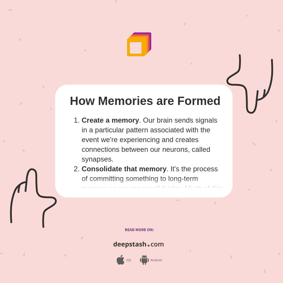 How Memories are Formed - Deepstash