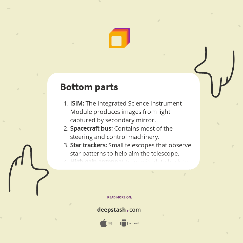 Bottom parts - Deepstash