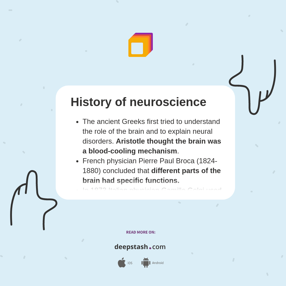 History Of Neuroscience Deepstash History Of Neuroscience Deepstash