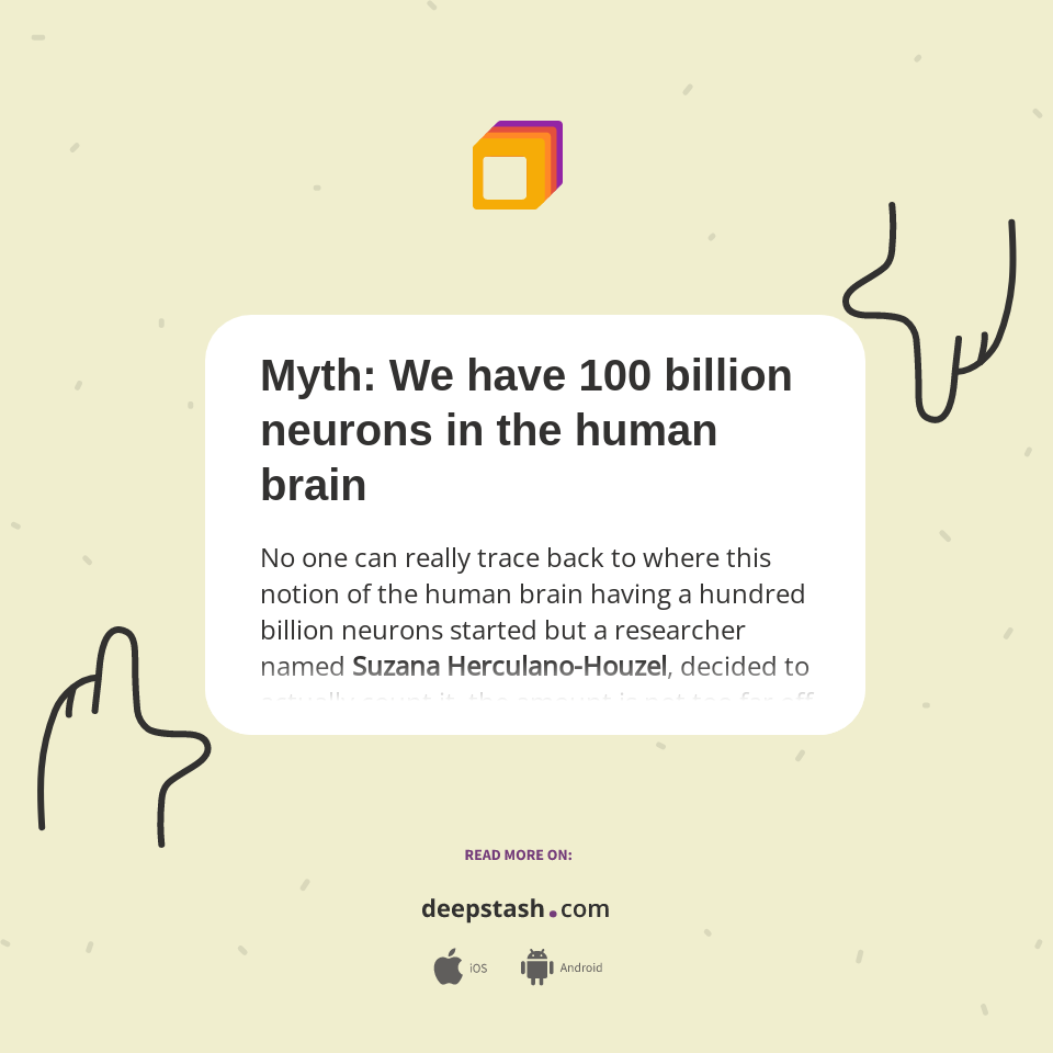 Myth: We have 100 billion neurons in the human brain - Deepstash